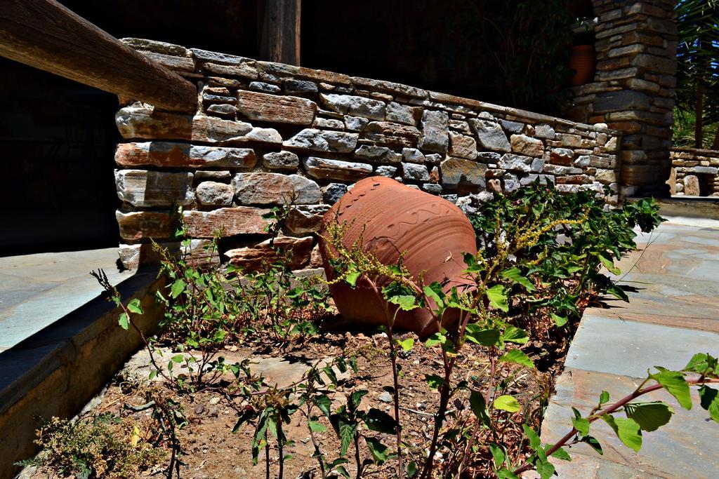 Stelios Zalonis Apartments Tínos Exterior foto